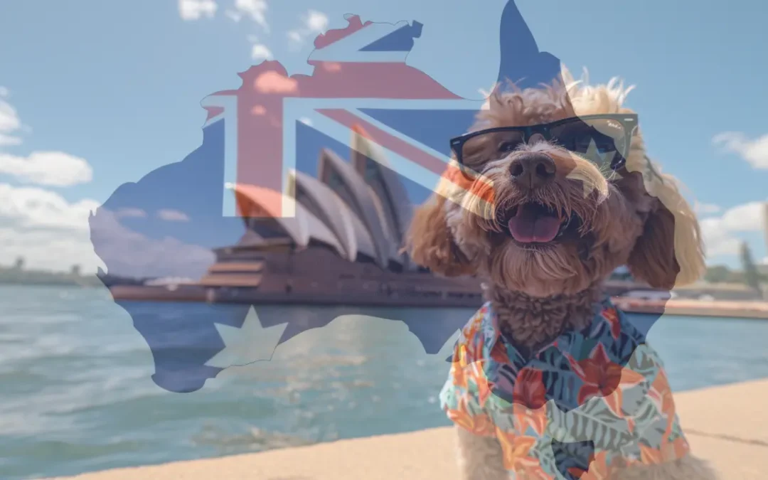 Bringing Pets into Australia (Best Advice for 2026)