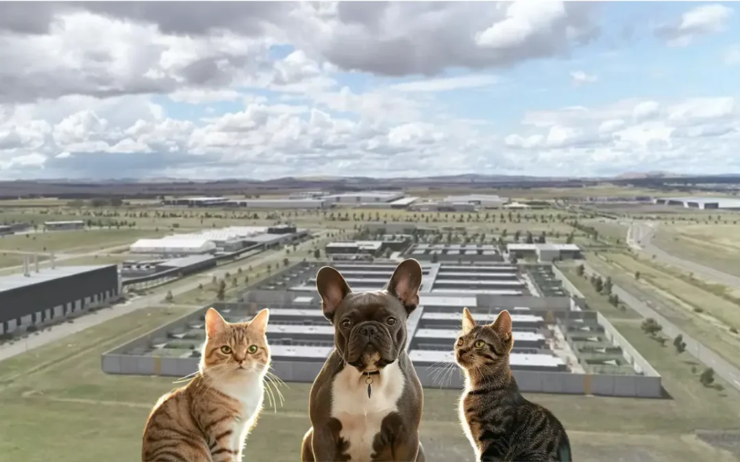 Your Guide to the Mickleham Post Entry Quarantine Facility in Australia