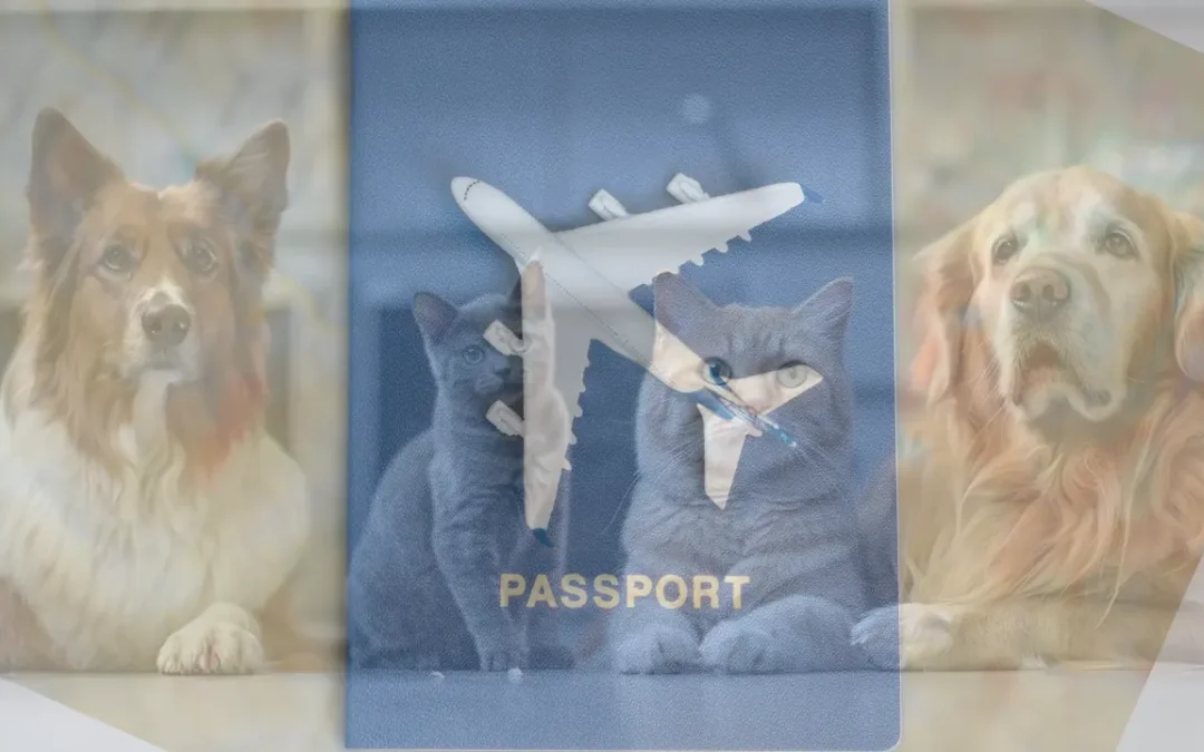 Pet Passport Explained