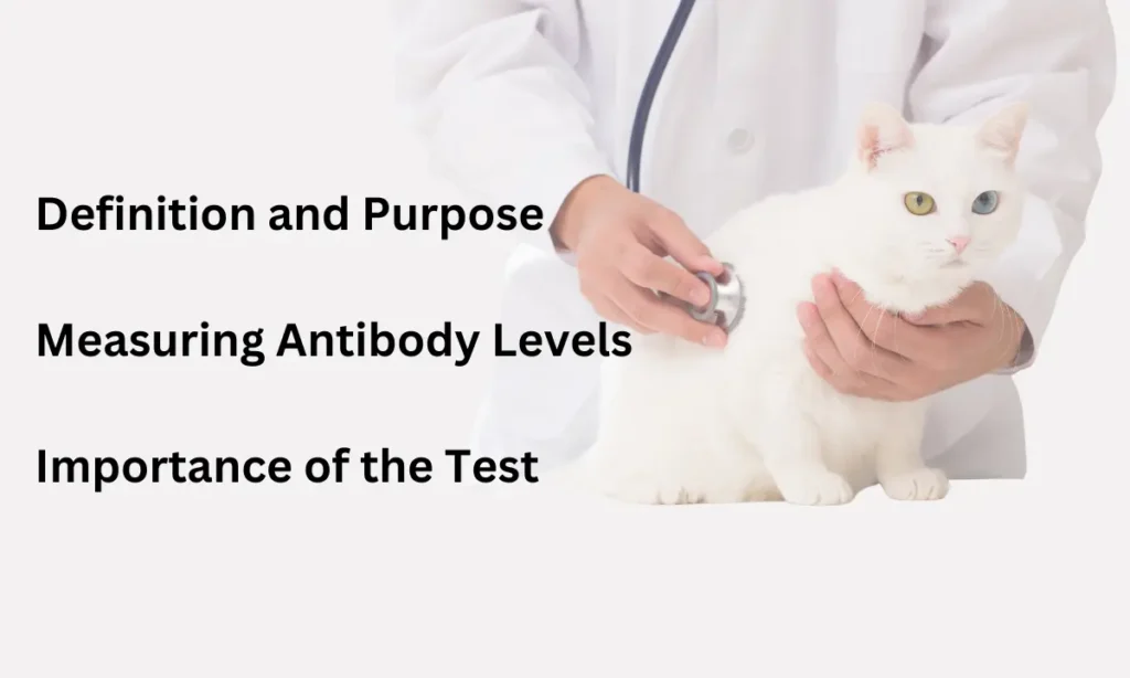 A vet in a white coat examining a white cat with text outlining subheadings for understanding the rabies titre test.