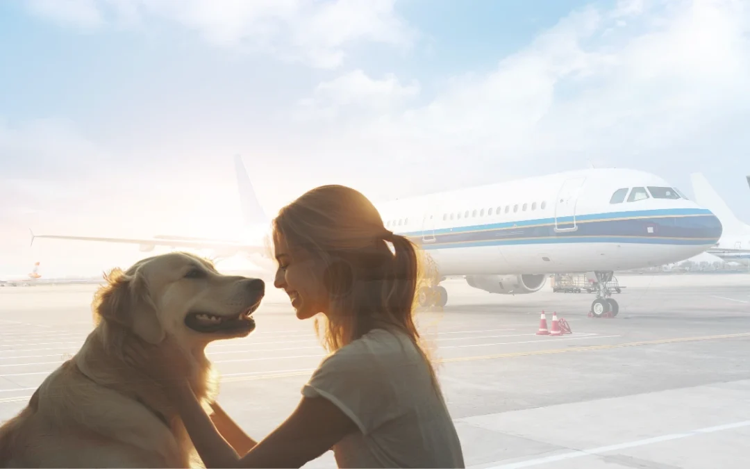 Domestic Pet Travel: Collecting Pets on Arrival