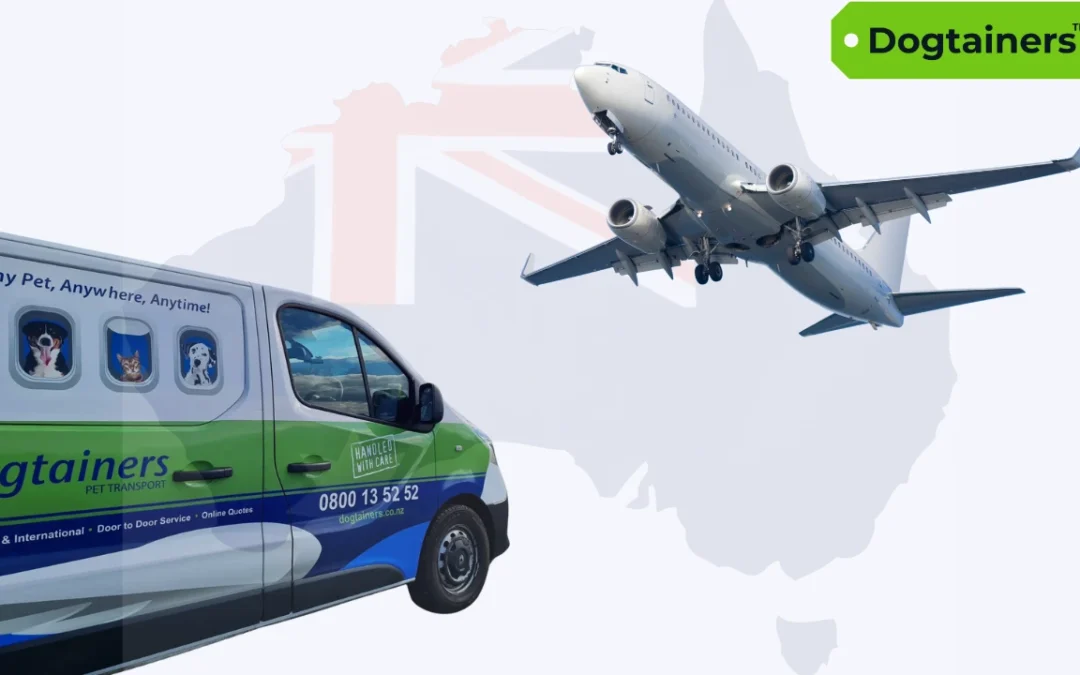 Interstate Pet Transport: Choosing the Best Pet Travel Company