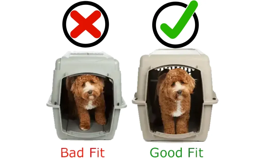 A dog in a travel crate that is too small with a red X above it beside a dog in a travel crate that is the perfect size with a green tick above it.