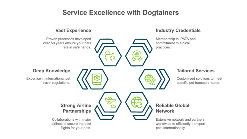 A graphic outlining how Dogtainers provides service excellence.
