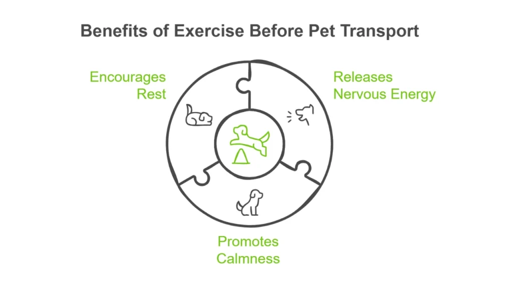 A graphic showing the benefits of exercise for pets before transport.