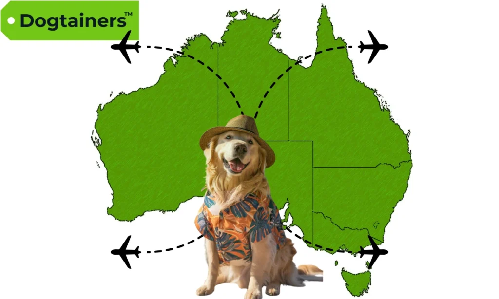 A golden retriever wearing a hat and flowery shirt with a green map of Australia in the background, plane flight paths, and the Dogtainers logo.