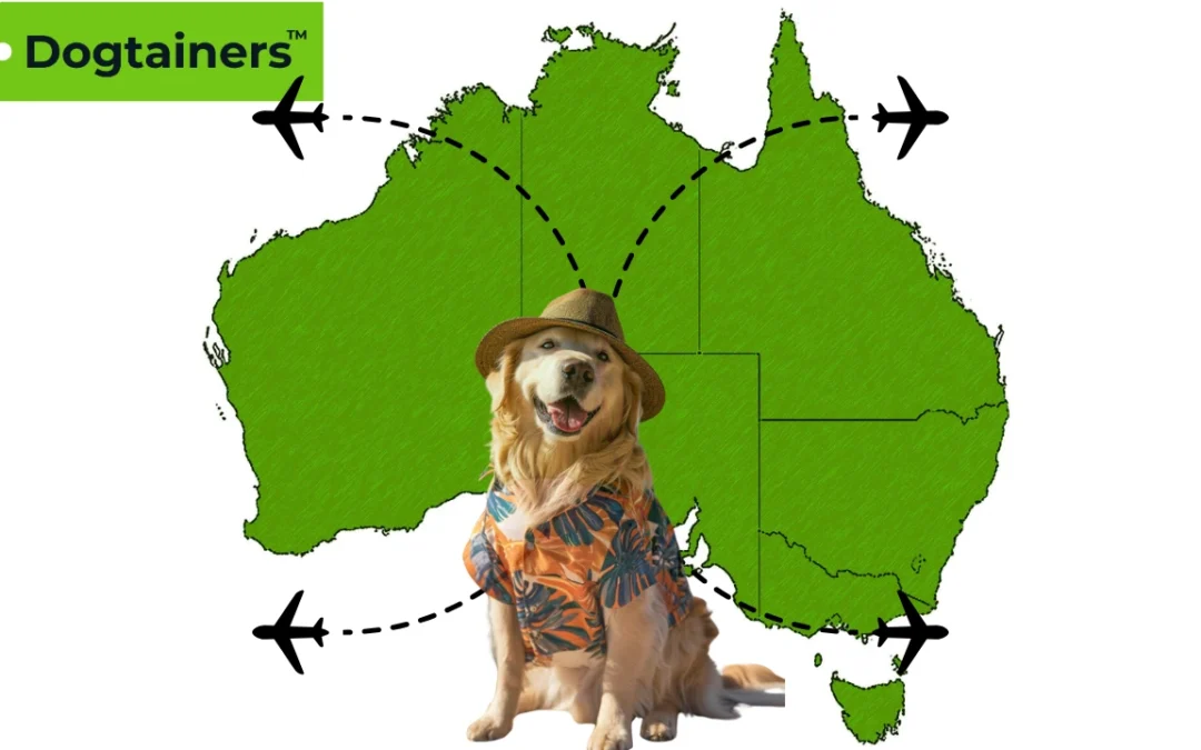 Interstate Pet Transport (How to Prepare Your Pet)