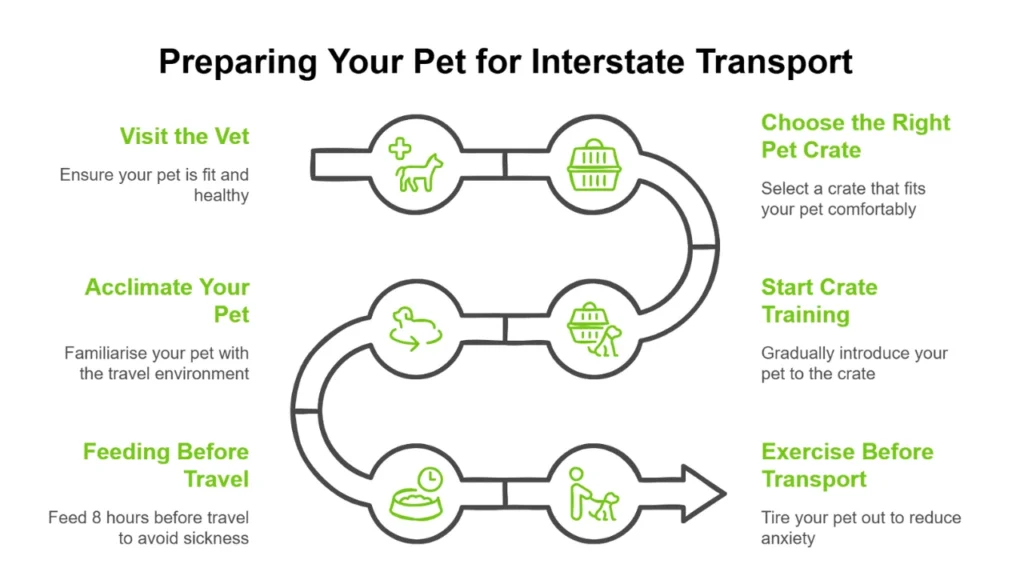 A graphic showing steps for preparing your pet for interstate pet transport.