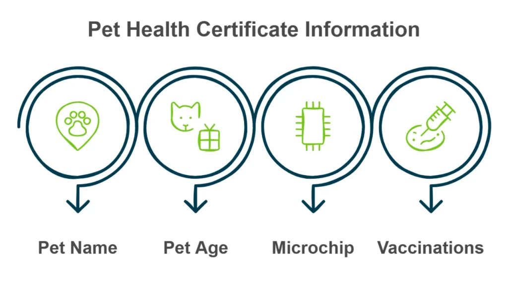 A graphic outlining the information on a pet travel health certificate.