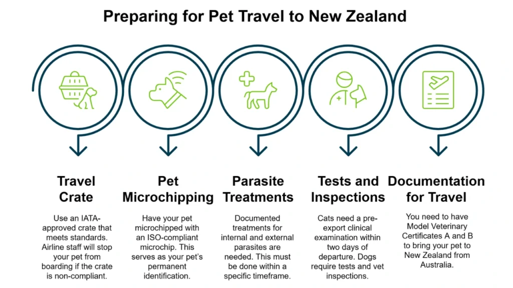 Steps for pet travel preparation to New Zealand