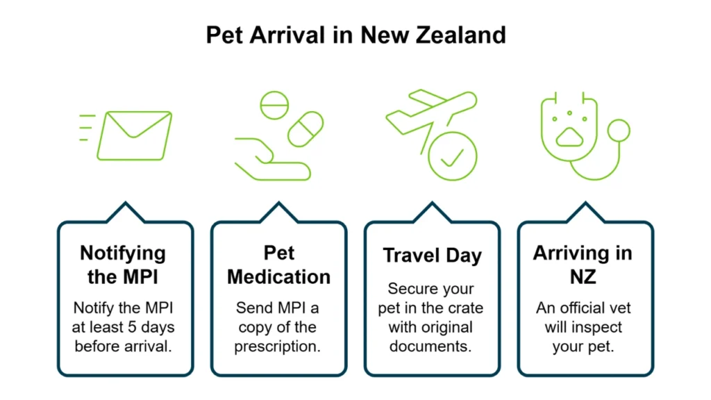 Preparing for arrival in New Zealand