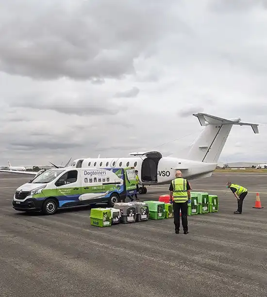 Dog-being-loaded-onto-plane