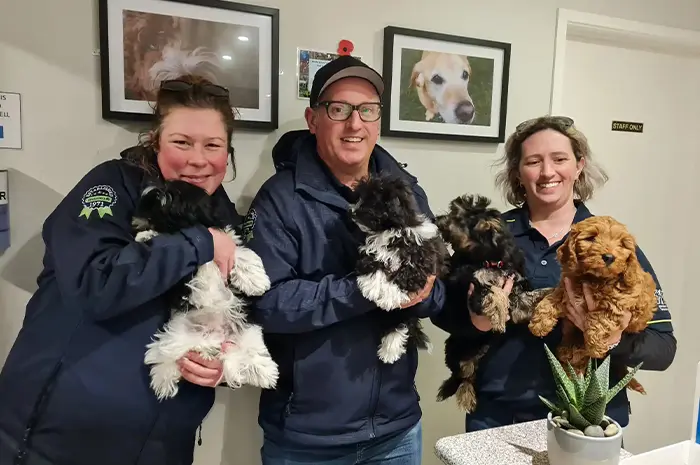 team-members-holding-dogs-5