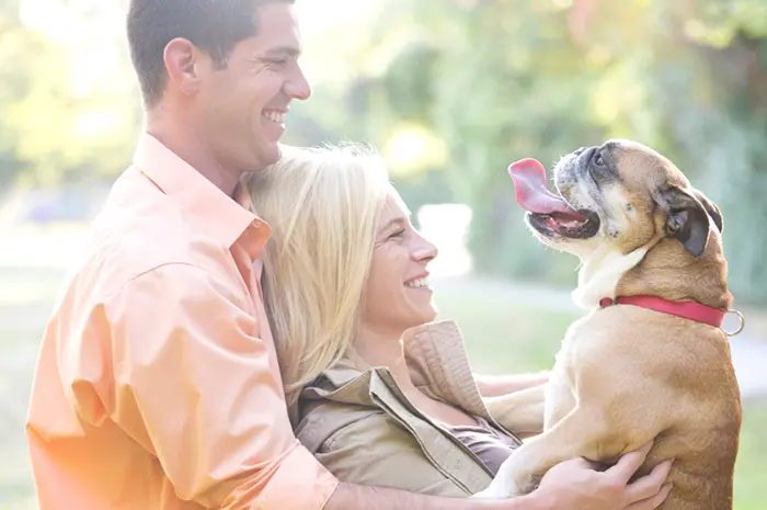 Pet-Travel-Defence-Families_Image-1