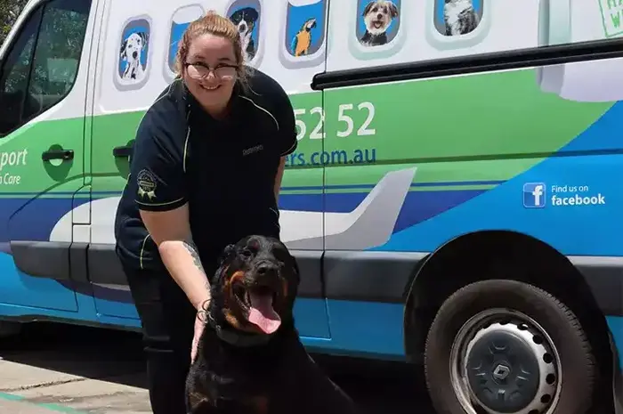 rottweiler-in-front-of-van-8